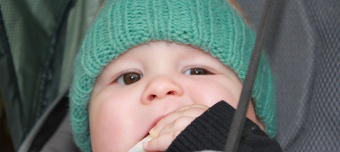 Zurück an der Küste: Sunset Bay State Park